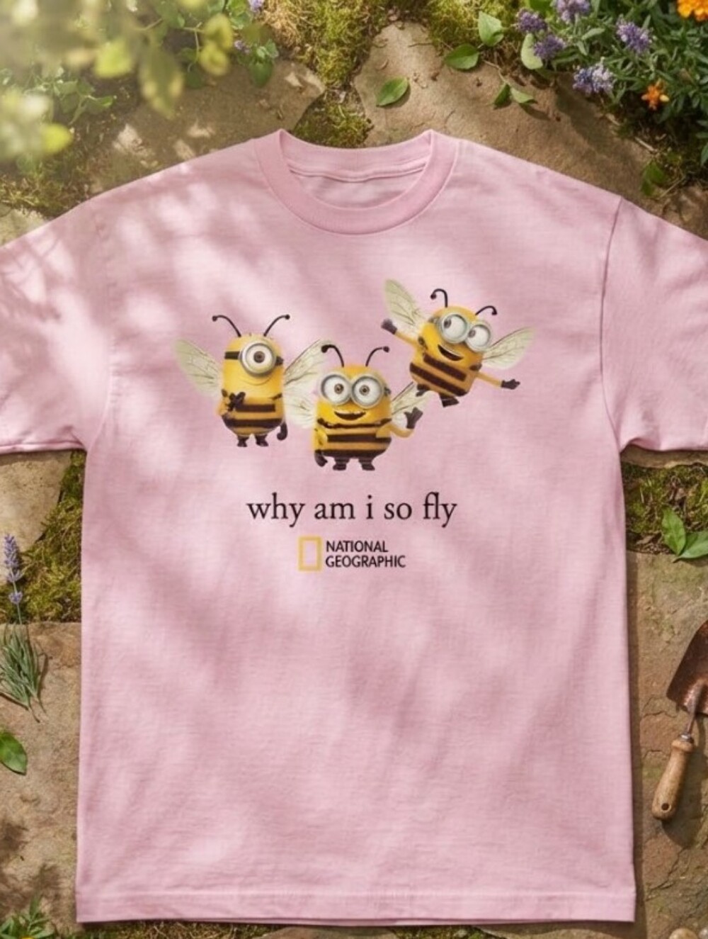 Pink National Geographic Why Am I So Fly Minions Bee Graphic Tee